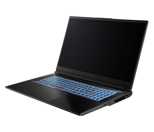 Dream Machines RG5070-17PL27 i9-14900HX/32GB/1TB RTX5070/Win11PX 240Hz - 1609283 - zdjęcie 2
